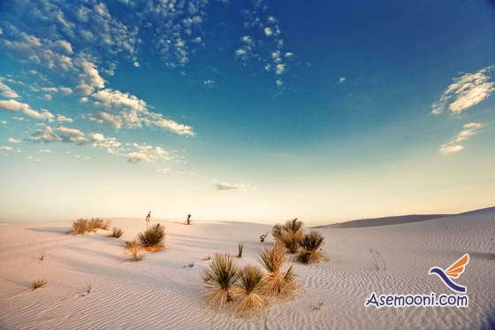 white-desert-in-mexico-photos(9)