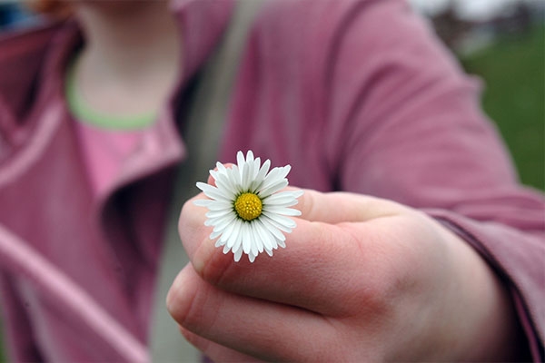 17 ربیع الاول؛ روز اخلاق و مهرورزی