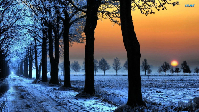 91962__ღ-awesome-sunset-in-winter-ღ_p