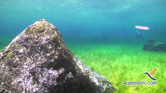 underwater-park-in-austria(11)