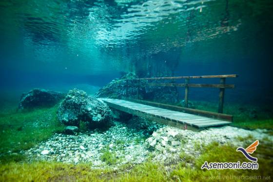 underwater-park-in-austria(12)