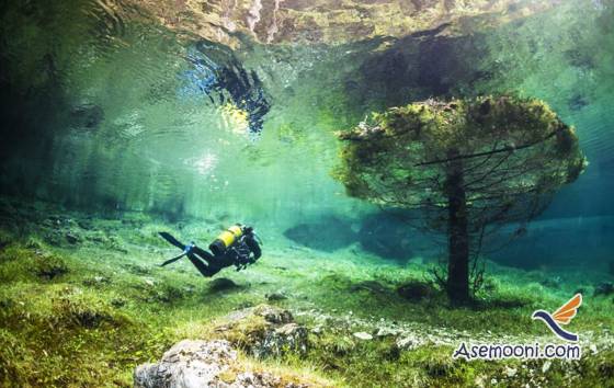 underwater-park-in-austria(5)