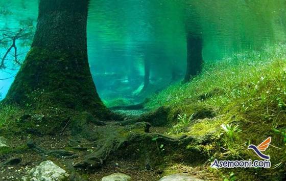 underwater-park-in-austria(8)