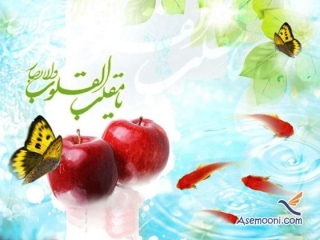 برنامه های تحویل سال تلویزیون چه رنگی هستند ؟