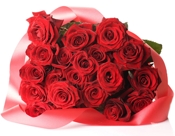 20_red_roses_bunch