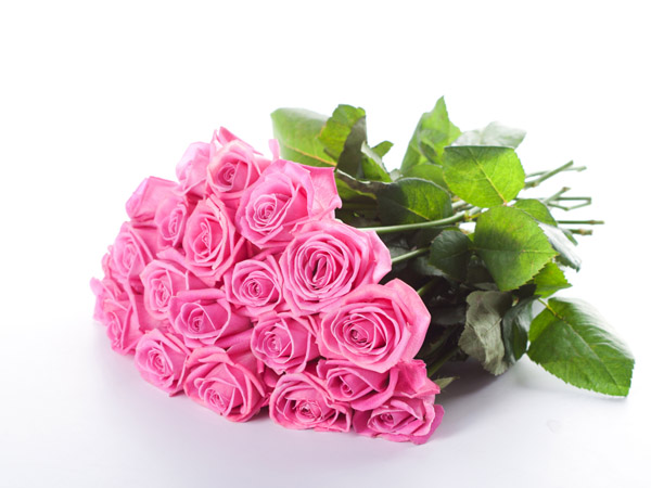 bouquet-of-pink-roses-high-definition-flower_071172
