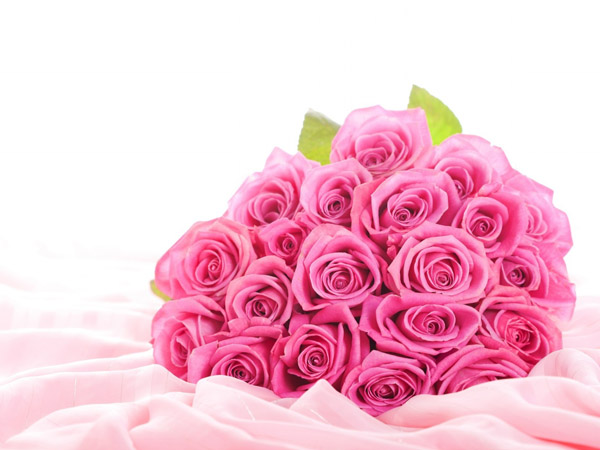 bouquet-pink-roses-dazzling_315732