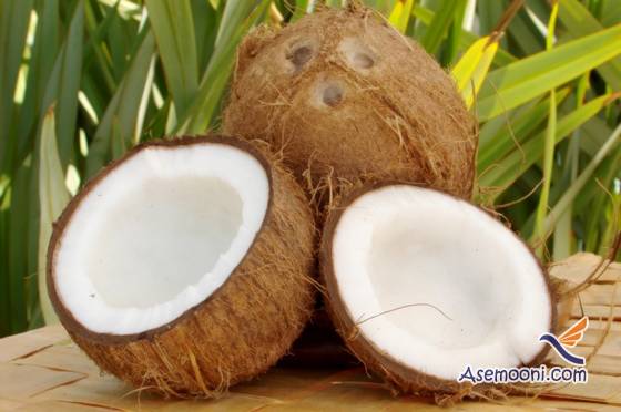 coconut-properties(2)
