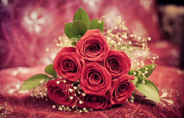 lovely-bouquet-of-roses-326481