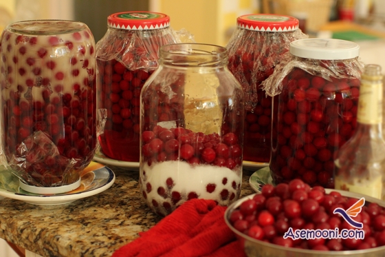 pickle-sour-cherry