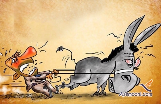 شعر فوق العاده مناظره با خر !