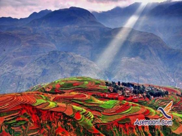 مزرعه رویایی دونگ چوآن در چین مزرعه رویایی دونگ چوآن در چین
