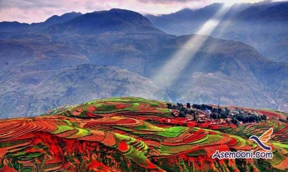 مزرعه رویایی دونگ چوآن در چین