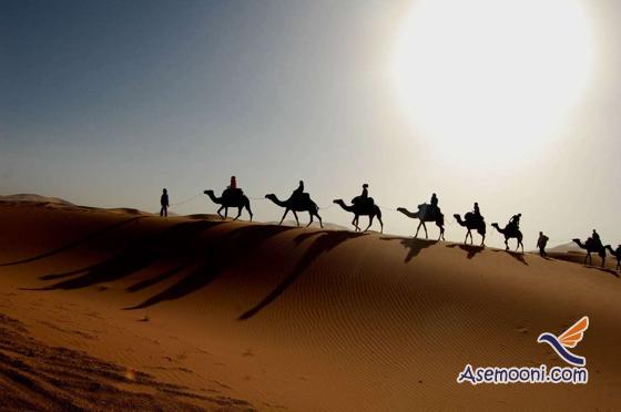 Desert of Egypt