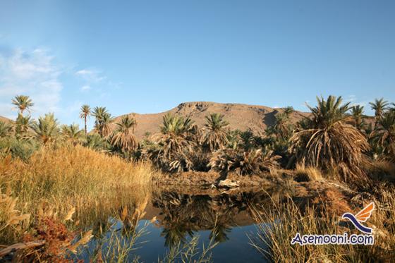 Desert of Egypt(4)