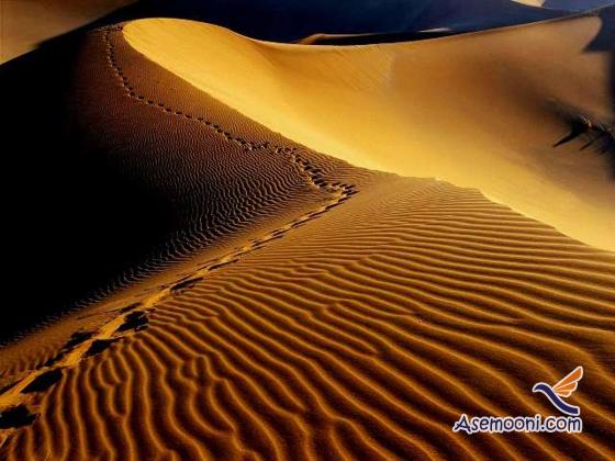 Desert of Egypt(5)