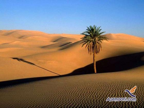 Desert of Egypt(6)