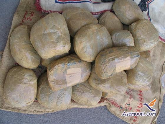 discovered-100-kilograms-of-opium-from-the-king-house