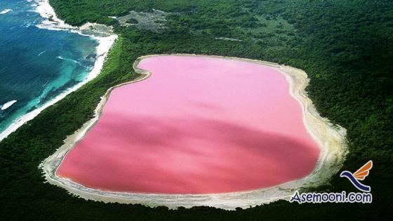 pink-lake(1)