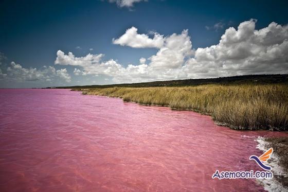 pink-lake(2)
