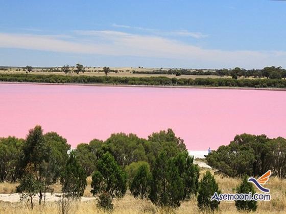 pink-lake(4)