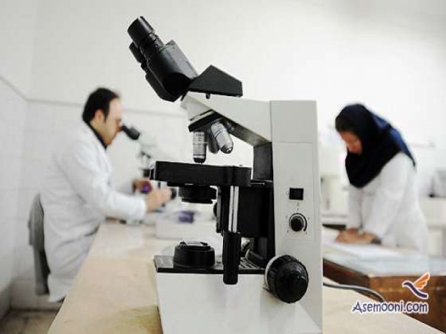 بیماری ابولا در کشور گزارش نشده است / 55 درصد ایرانی ها اضافه وزن دارند