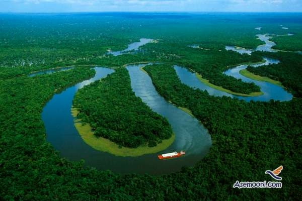 با این 6 حیوان وحشی و کشنده جنگل های آمازون آشنا شوید