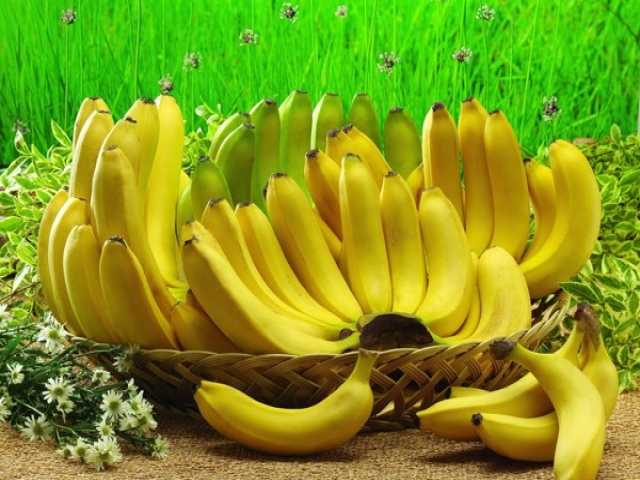 خواص بی نظیر موز خواص بی نظیر موز