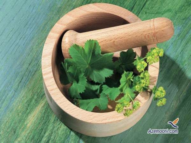 معجزه طب سنتی برای رفع ریزش مو معجزه طب سنتی برای رفع ریزش مو