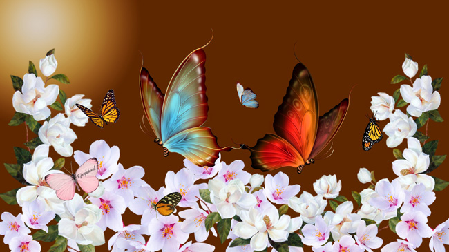 Butterflies Fantasy HD Desktop Background