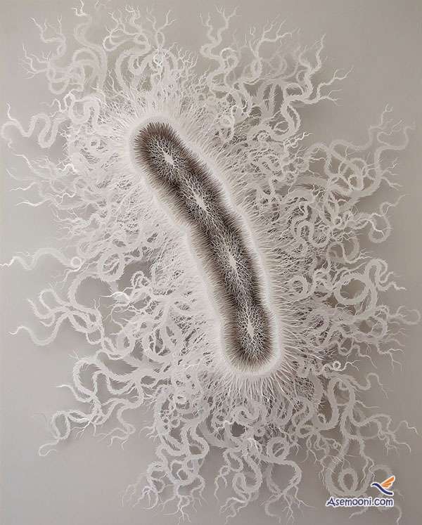 Create a paper in the form of bacteria