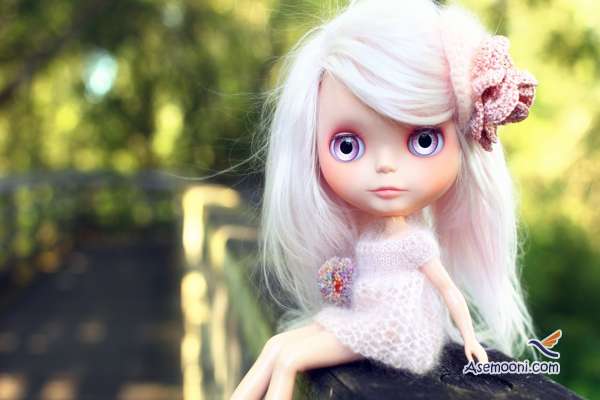 barbie-doll(2)