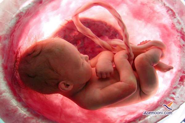 do-embryo-donation-non-religious