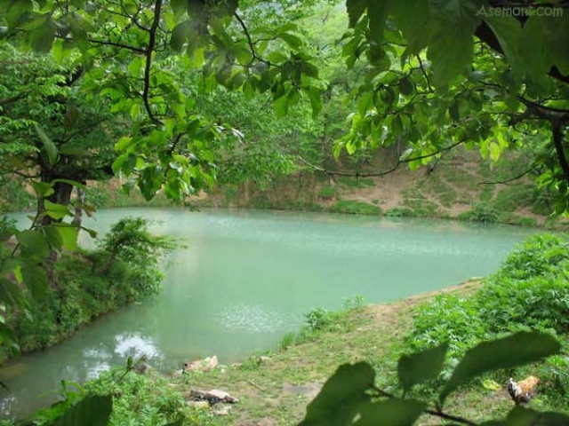 چشمه و دریاچه گل رامیان