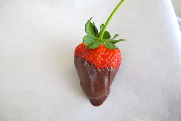 chocolate-dipped-strawberries(8)