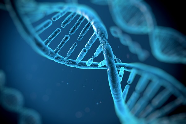 discover-history-dna