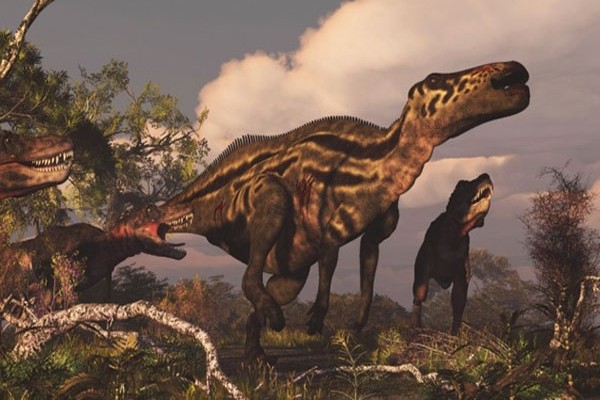 giant-animal-on-earth(2)