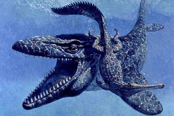 giant-animal-on-earth(3)