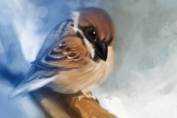 god-and-the-sparrow(1)
