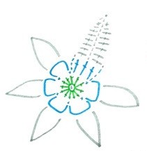 learning-to-weave-a-narcissus-flower(6)