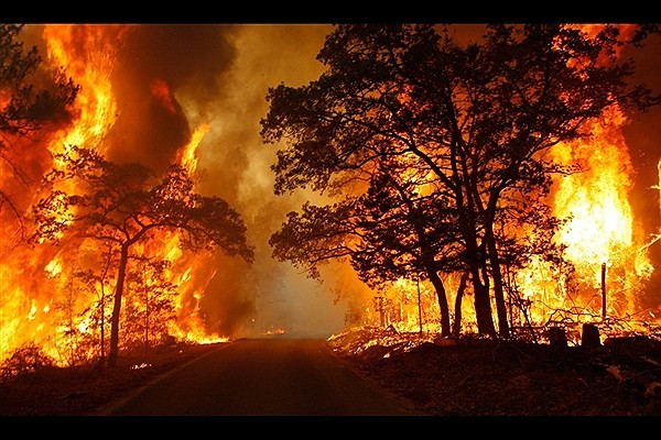 oak-forest-fires-in-ilam(2)