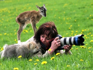 تصویر حیواناتی که میخواهند عکاس شوند