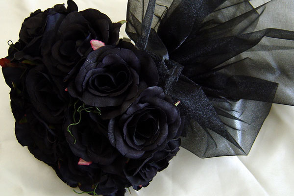 black rose (4)