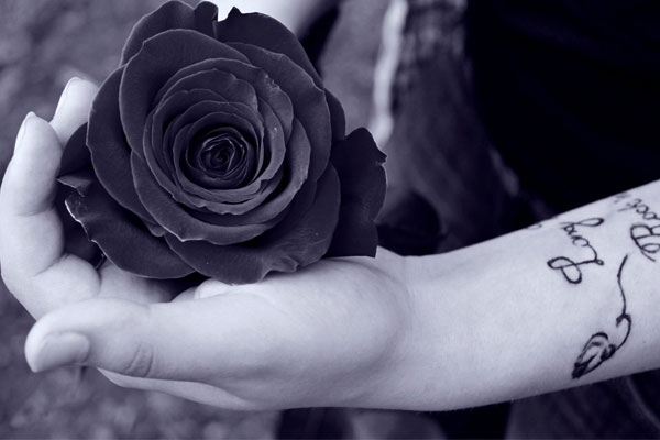 black rose (9)