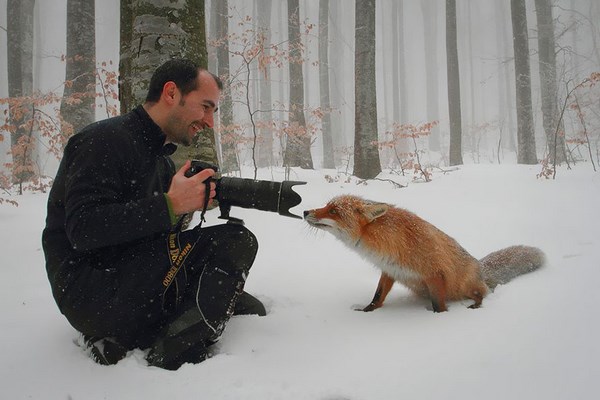 photos-of-animals photographers (11)