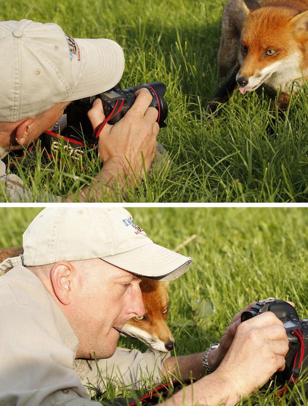 photos-of-animals photographers (2)