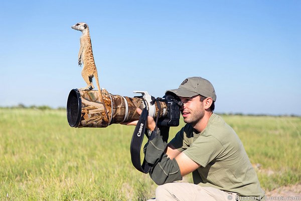 photos-of-animals photographers (8)