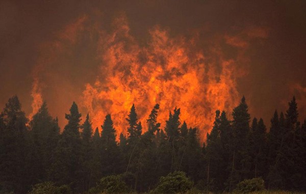 zagros-forests-were-burned-in-chaharmahal-and-bakhtiari
