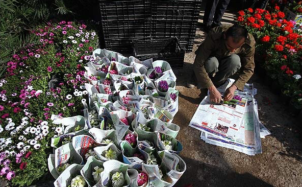 بازارهای گل در تهران