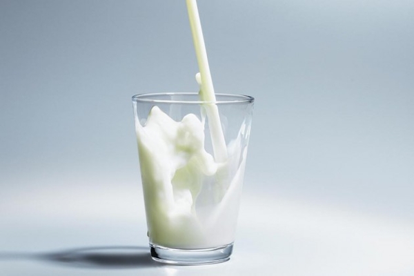 eat-hot-or-cold-milk